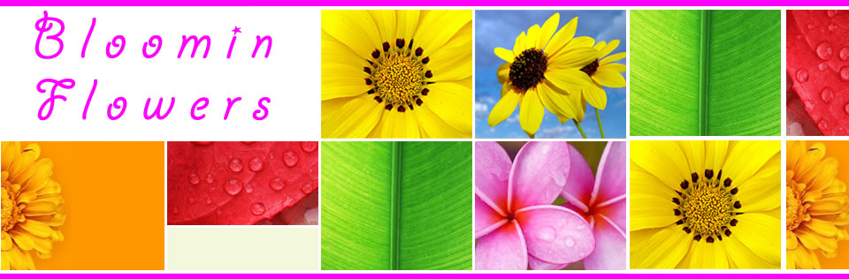 Florists Melbourne Flowers